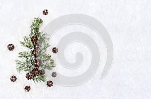 Christmas decoration. Branch pine tree and cone pine on snow. Top view, flat lay