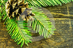 Christmas decoration branches of a fir tree