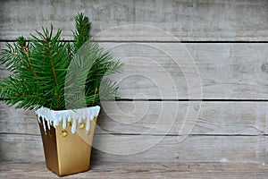 Christmas Decoration branches