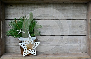 Christmas Decoration branches