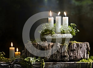 Christmas decoration with candles, moss, winter flowers and wooden snag