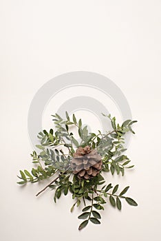 Christmas decoration, centerpiece with pine cones and bush branches, natural elements, blank for writte