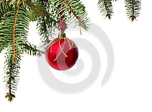 Christmas decoration. Christmas tree with hanging red ball on white background with space for text