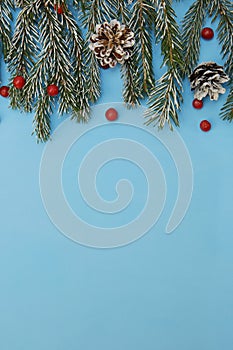 Christmas decoration composition or background with spruce branches, cone and red berries on a blue with copy space for text.