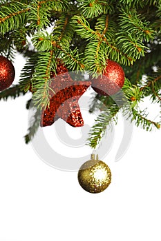 Christmas decoration on fir