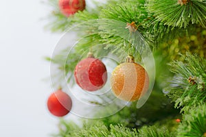 Christmas decoration on fir branch