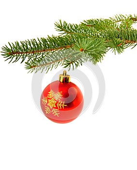 Christmas decoration on fir tree