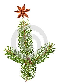 Christmas decoration - fir tree branch and anise star on white background