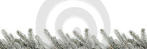 Christmas decoration fir tree branches snow winter isolated on w