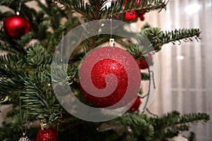 Christmas decoration on fir tree. Red ball close up.