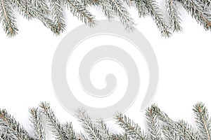 Christmas decoration fir tree snow winter frame isolated on whit