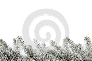 Christmas decoration fir tree snow winter isolated on white