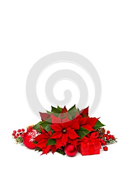 Christmas decoration. Flower of red poinsettia, branch christmas tree, christmas balls, gift box and cones spruce