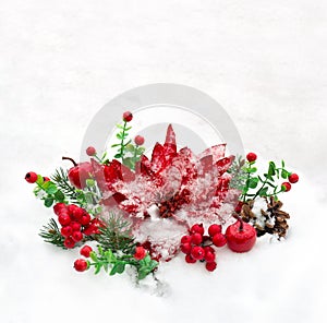 Christmas decoration. Flower of red poinsettia, cone pine, twigs christmas tree, red berries and apples on snow