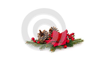 Christmas decoration. Flower of red poinsettia, cones pine, branch christmas tree, red berries on a white background