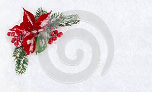 Christmas decoration. Flower of red poinsettia, twigs christmas tree and red berries covered snow on snow with space for text