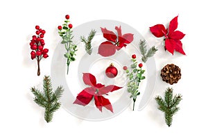 Christmas decoration. Flowers of red poinsettia, branch christmas tree, ball, cone pine, red berry on a white background