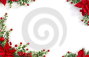 Christmas decoration. Frame of flowers of red poinsettia, branch christmas tree, red berries on white background