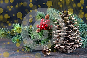 Christmas Decoration greeting card- Snowy Pine Cones On Fir Branch With Christmas Lights