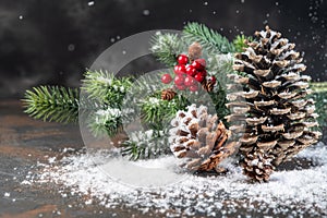 Christmas Decoration greeting card- Snowy Pine Cones On Fir Branch With Christmas Lights