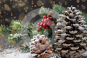 Christmas Decoration greeting card- Snowy Pine Cones On Fir Branch With Christmas Lights