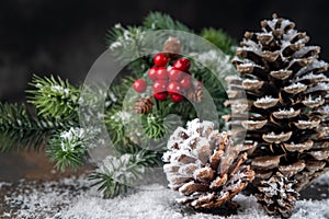 Christmas Decoration greeting card- Snowy Pine Cones On Fir Branch With Christmas Lights