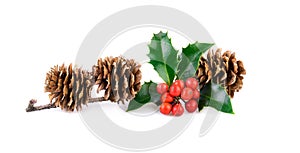 Christmas decoration with holly berries and larch cones on white