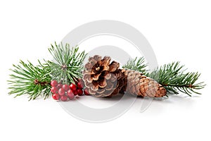 Christmas decoration of holly berry and pine cone