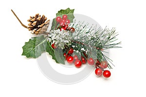 Christmas decoration of holly berry and pine cone