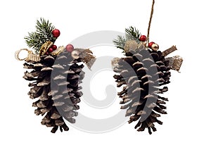 Christmas decoration of holly berry and pine cone isolated on white, Clipping path included