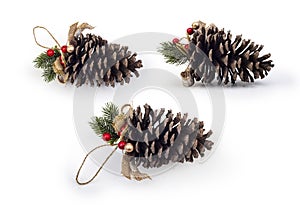 Christmas decoration of holly berry and pine cone isolated on white, Clipping path included