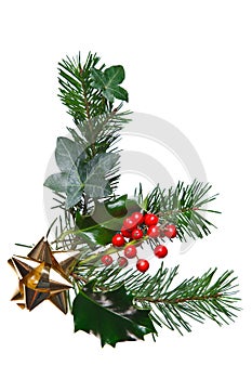 Christmas decoration with holly and gold bow