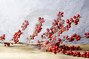 Christmas decoration ilex verticillata or winterberry holly photo