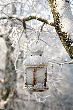 Christmas decoration with lantern, snow and fir tree branch.