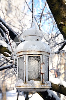 Christmas decoration with lantern, snow and fir tree branch.