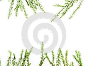 Christmas decoration or ornament laid in rectangular frame shape composed of green pine branch and red and green cane isolated on