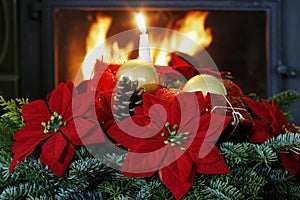 Christmas decoration with the poinsettia flower Euphorbia pulcherrima, fir, baubles and cones