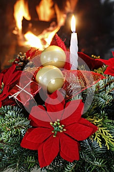 Christmas decoration with the poinsettia flower Euphorbia pulcherrima, fir, baubles and cones