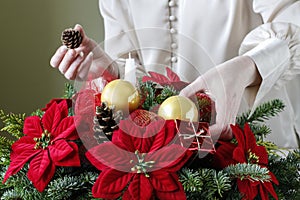 Christmas decoration with the poinsettia flower Euphorbia pulcherrima, fir, baubles and cones