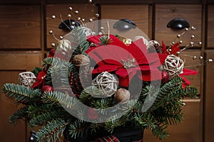 Christmas decoration with the poinsettia flower Euphorbia pulcherrima, fir, baubles and cones