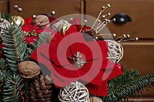 Christmas decoration with the poinsettia flower Euphorbia pulcherrima, fir, baubles and cones