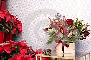 Christmas decoration with poinsettia flowers, fir cones and berries photo