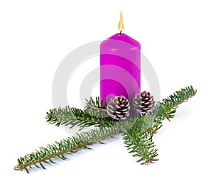 Christmas decoration - purple burning candle, spruce branch and cones isolated on white background with shadow reflection.