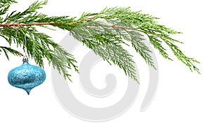 Christmas decoration. on real fir tree branch