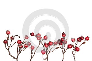 Christmas decoration red berries isolated on white background