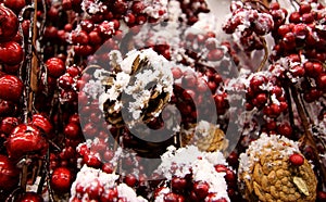 Christmas decoration red berries and pine tree cones under snow cover