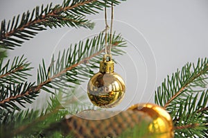 Christmas decoration on a spruce branch, the concept of a New Year's card