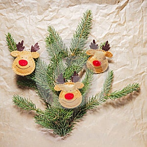 Christmas decoration, spruce twigs decorated on grey paper