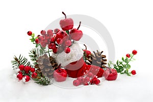 Christmas decoration. Stocking with red berries and apples, twigs christmas tree, cones pine on snow with space for text