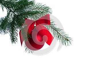 Christmas Decoration on Tree Branch